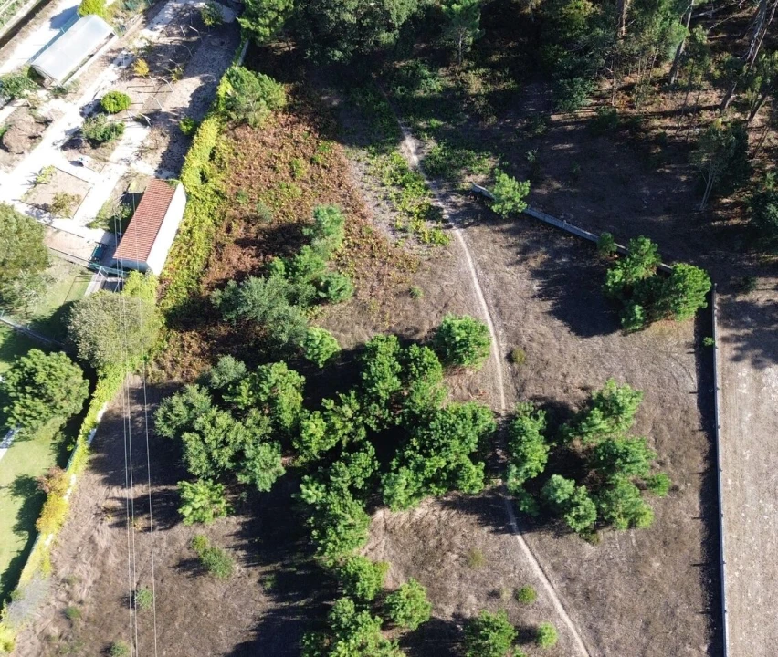 Terreno para Venda em Monte Redondo e Carreira Foto 9