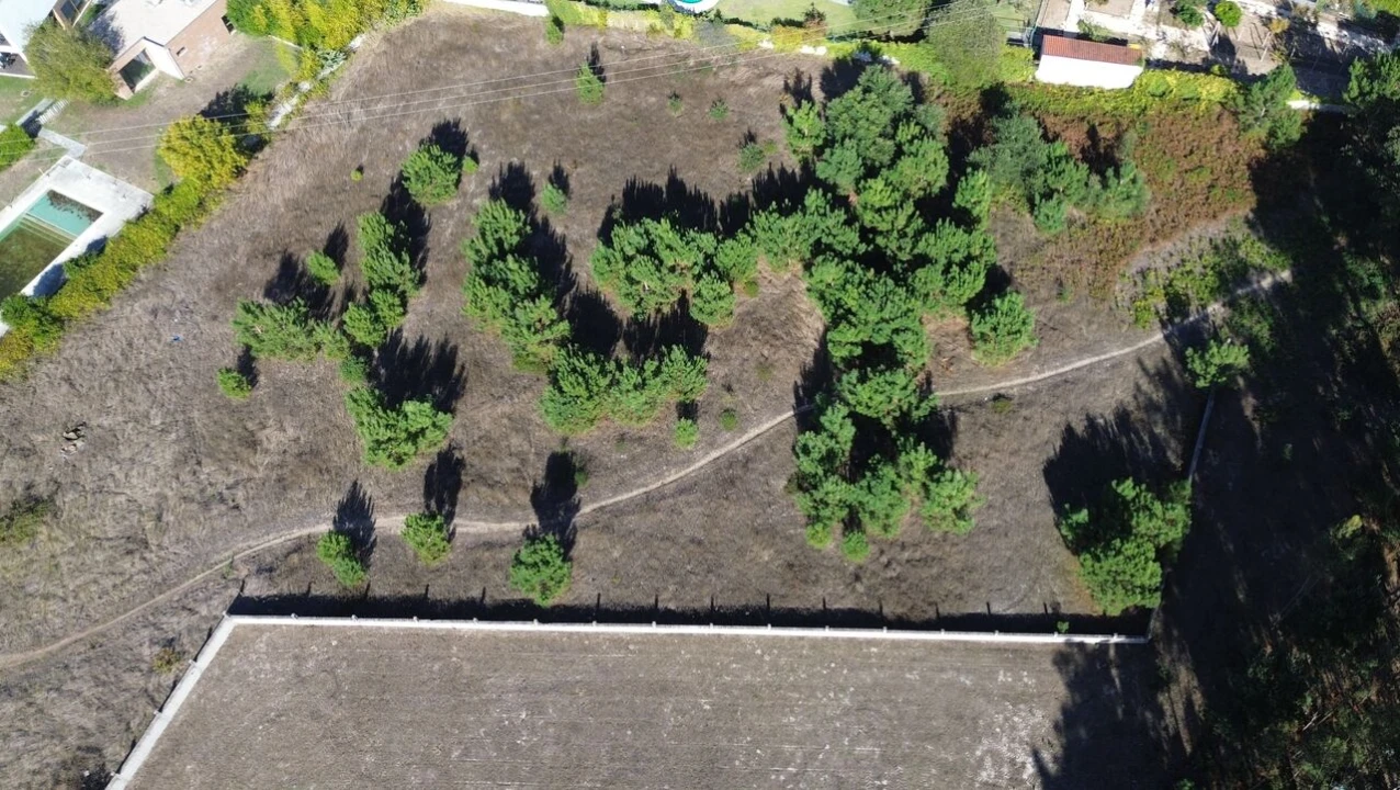 Terreno para Venda em Monte Redondo e Carreira Foto 10