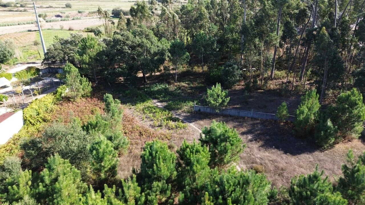 Terreno para Venda em Monte Redondo e Carreira Foto 11