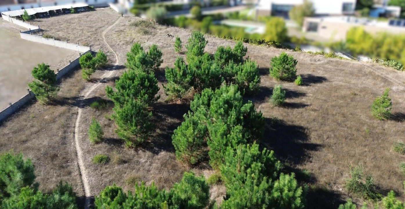 Terreno para Venda em Monte Redondo e Carreira Foto 13