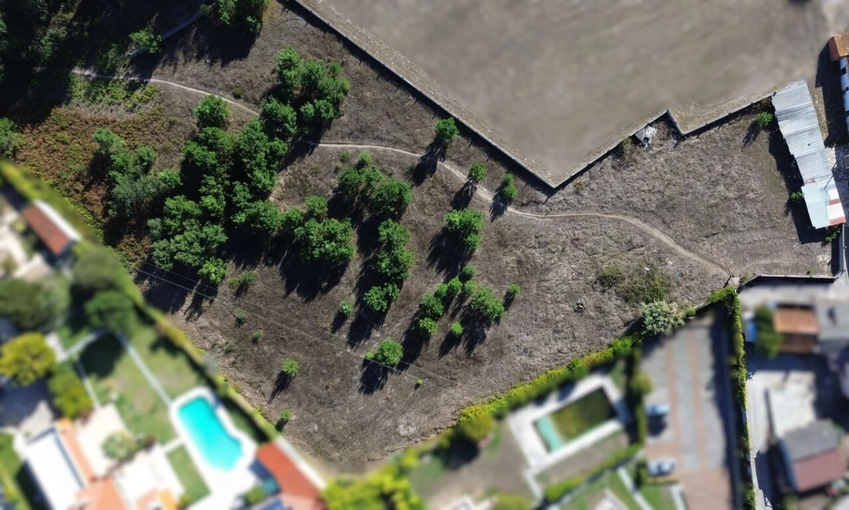Terreno para Venda em Monte Redondo e Carreira Foto 14