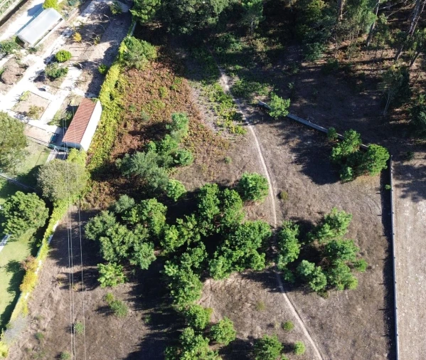 Terreno para Venda em Monte Redondo e Carreira Foto 9