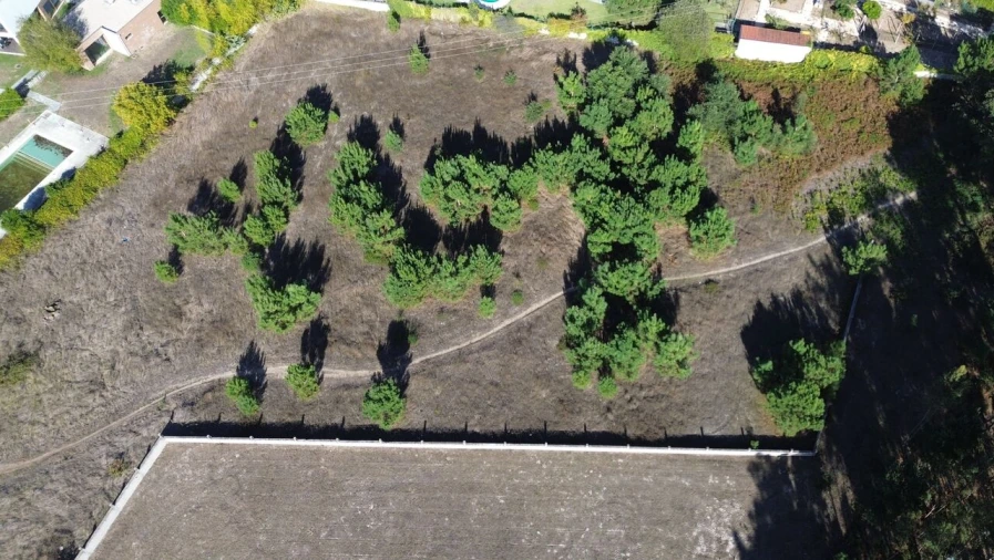 Terreno para Venda em Monte Redondo e Carreira Foto 10