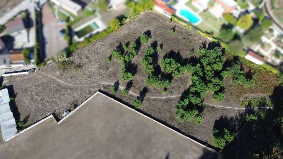 Terreno para Venda em Monte Redondo e Carreira