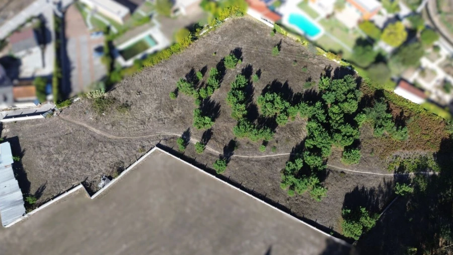 Terreno para Venda em Monte Redondo e Carreira