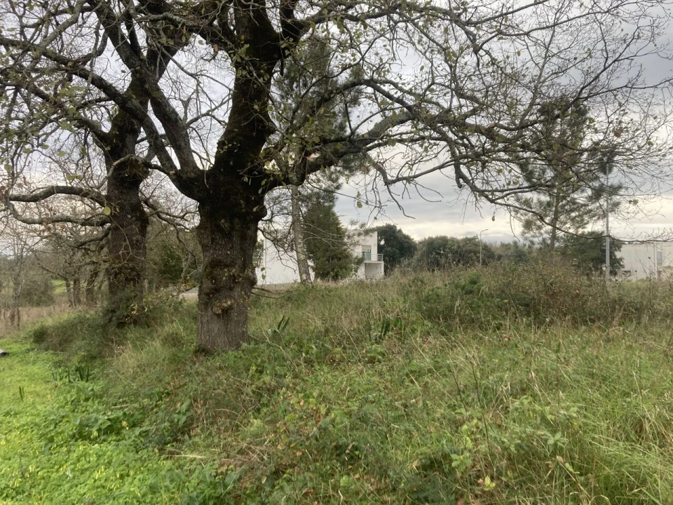 Terreno para Venda em Sebal e Belide Foto 15