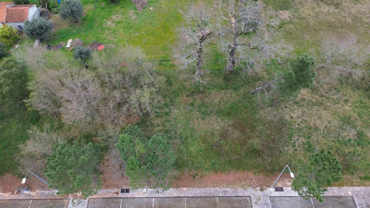 Terreno para Venda em Sebal e Belide Foto 13