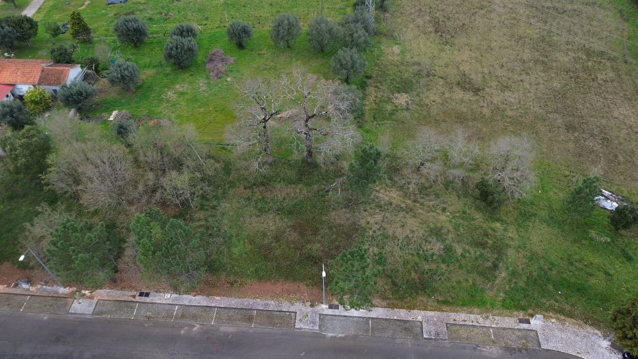 Terreno para Venda em Sebal e Belide Foto 7