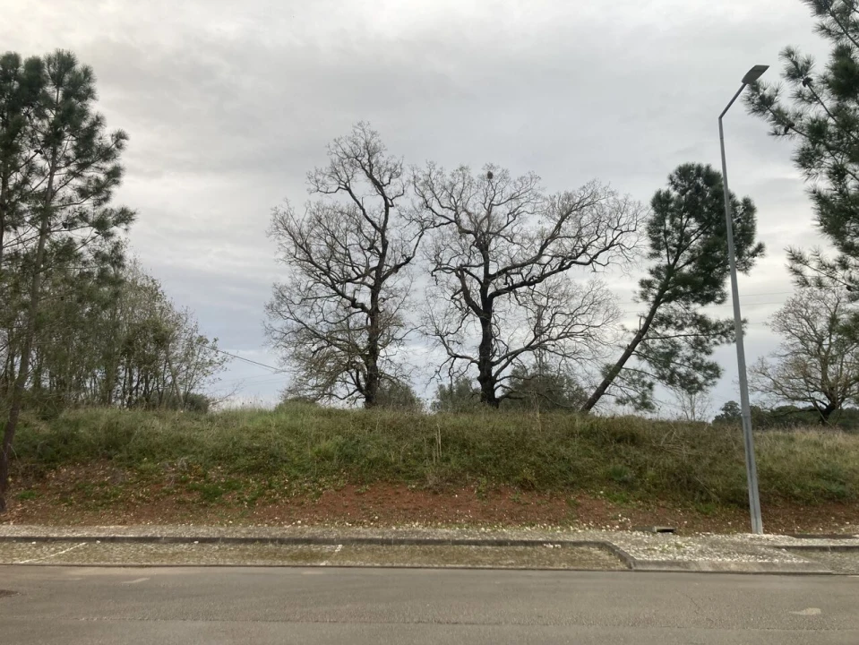 Terreno para Venda em Sebal e Belide Foto 5