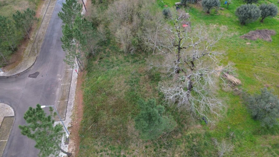Terreno para Venda em Sebal e Belide Foto 10