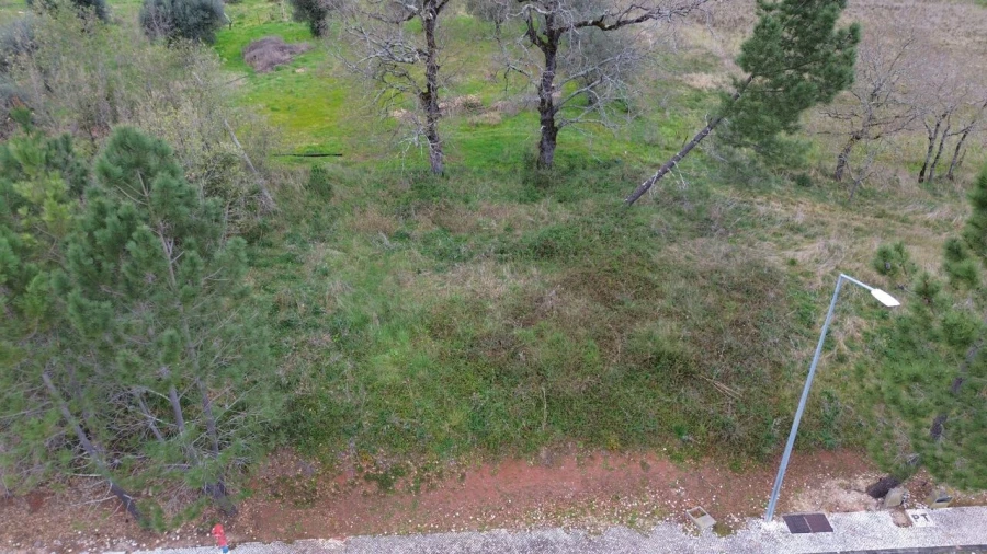 Terreno para Venda em Sebal e Belide Foto 12