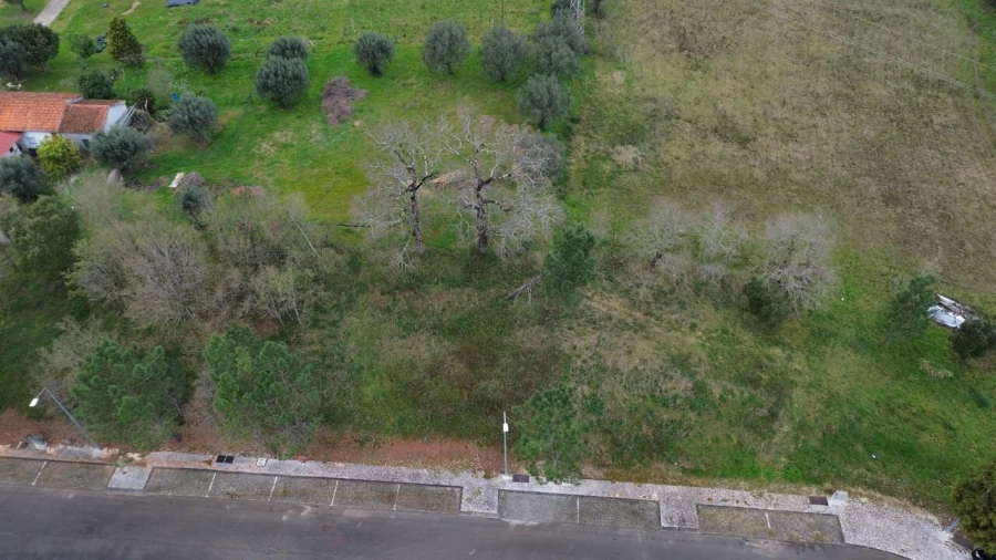 Terreno para Venda em Sebal e Belide Foto 7