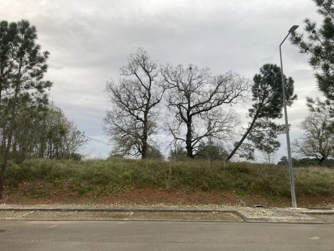 Terreno para Venda em Sebal e Belide Foto 5