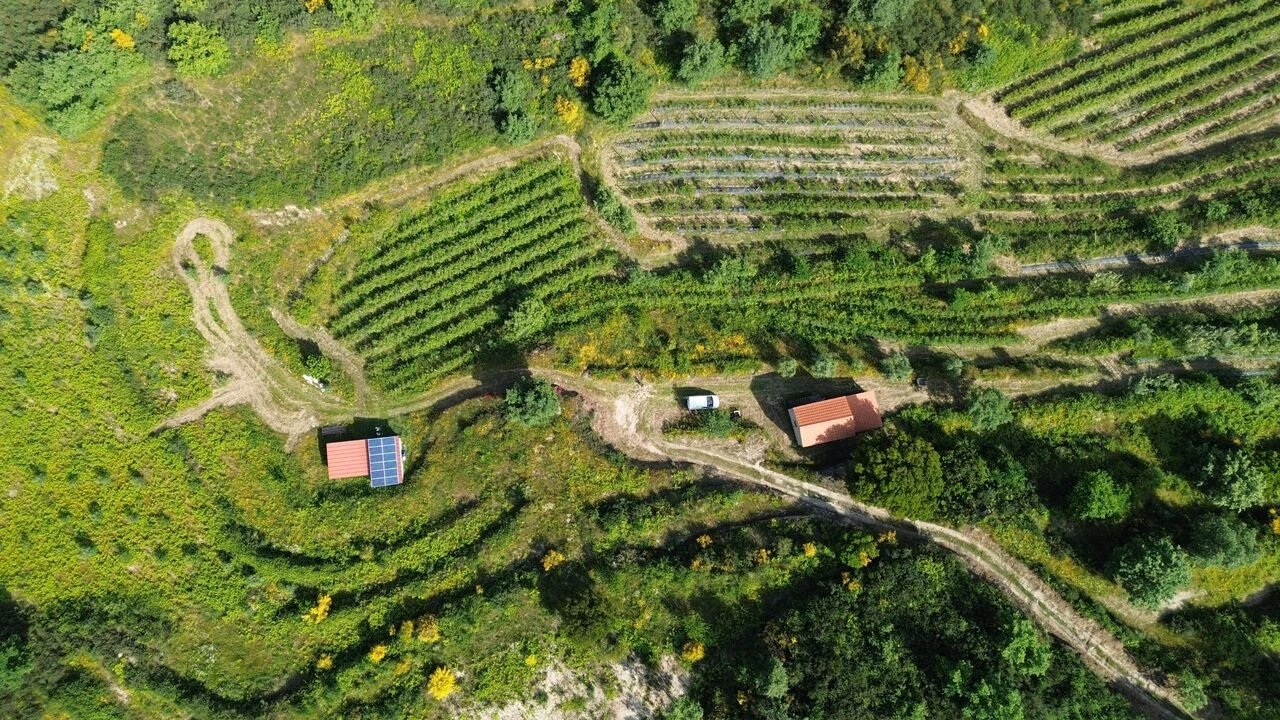 Quinta T1 para Venda em Santiago de Cassurrães e Póvoa de Cervães Foto 4