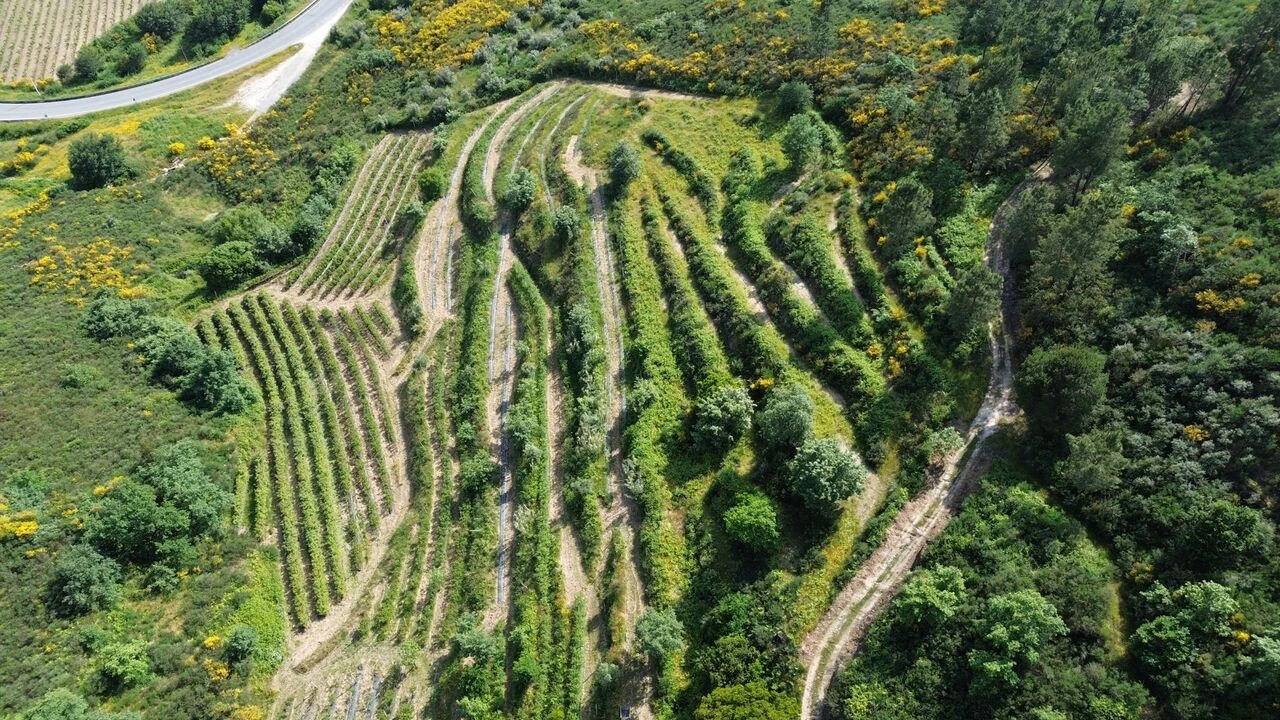 Quinta T1 para Venda em Santiago de Cassurrães e Póvoa de Cervães Foto 2