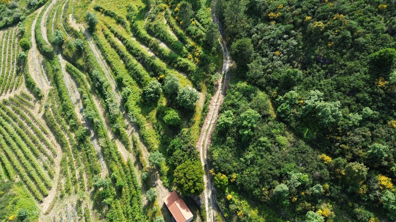 Quinta T1 para Venda em Santiago de Cassurrães e Póvoa de Cervães Foto 6