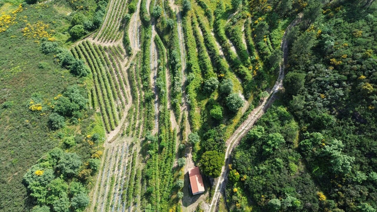 Quinta T1 para Venda em Santiago de Cassurrães e Póvoa de Cervães Foto 7