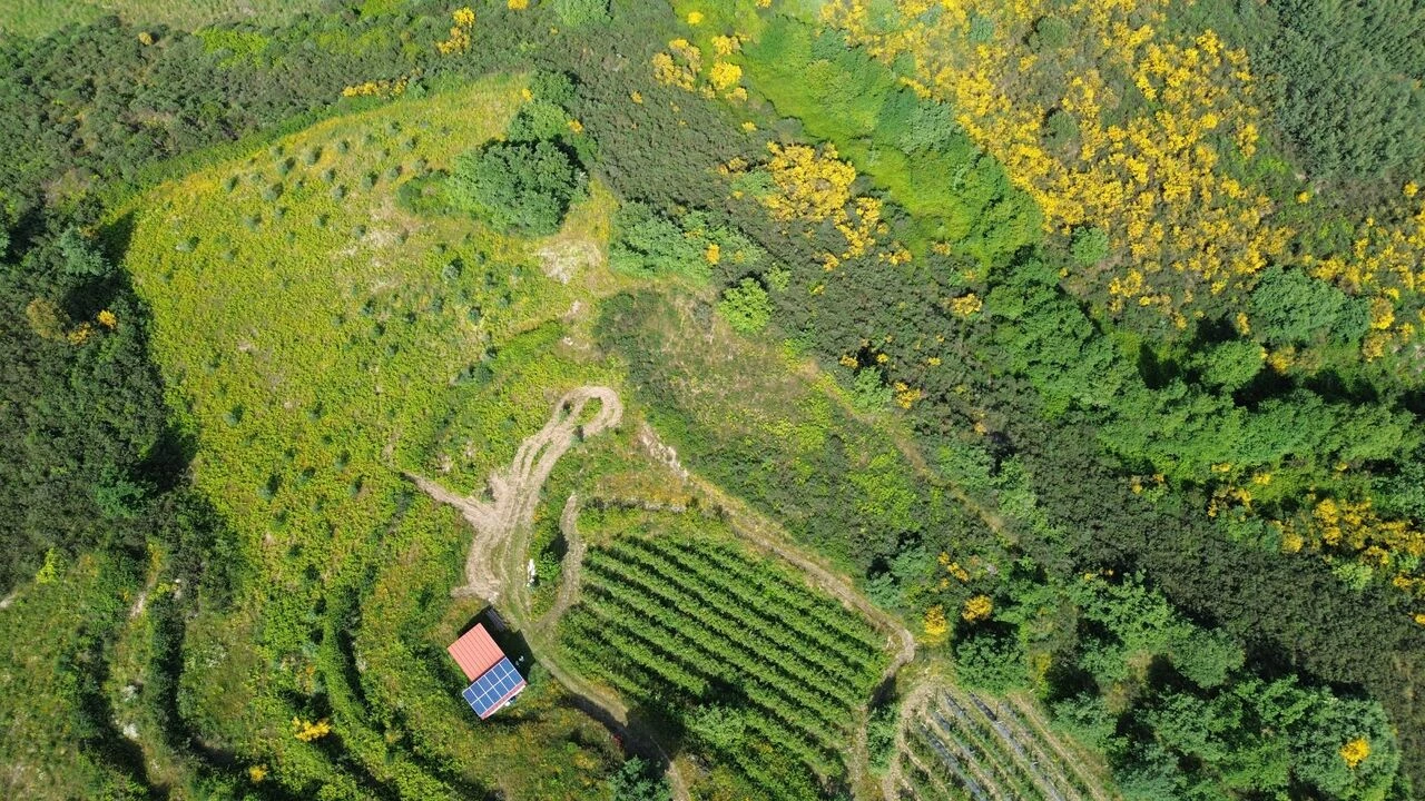Quinta T1 para Venda em Santiago de Cassurrães e Póvoa de Cervães Foto 9