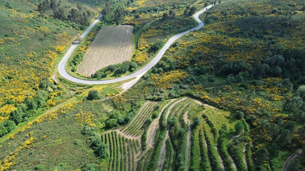 Quinta T1 para Venda em Santiago de Cassurrães e Póvoa de Cervães Foto 10