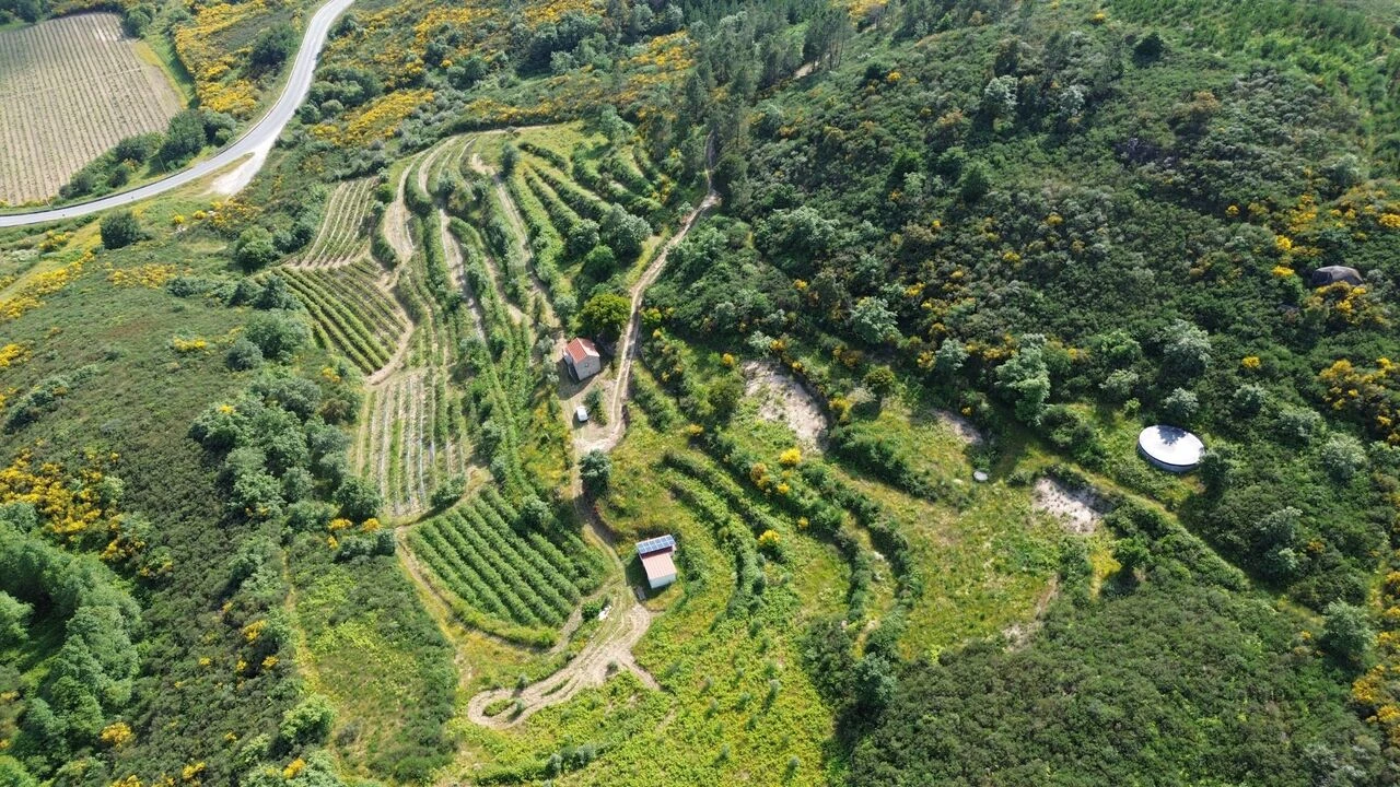 Quinta T1 para Venda em Santiago de Cassurrães e Póvoa de Cervães Foto 13