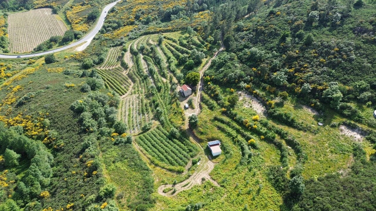 Quinta T1 para Venda em Santiago de Cassurrães e Póvoa de Cervães Foto 1