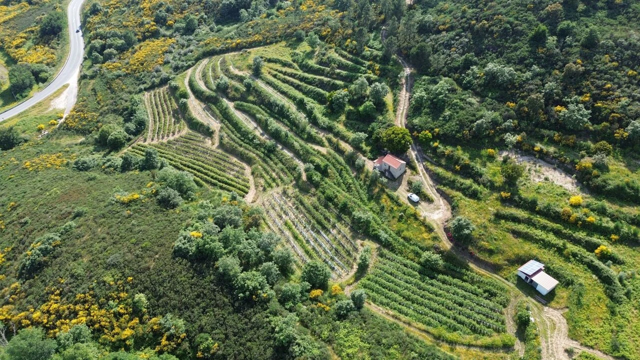 Quinta T1 para Venda em Santiago de Cassurrães e Póvoa de Cervães Foto 15