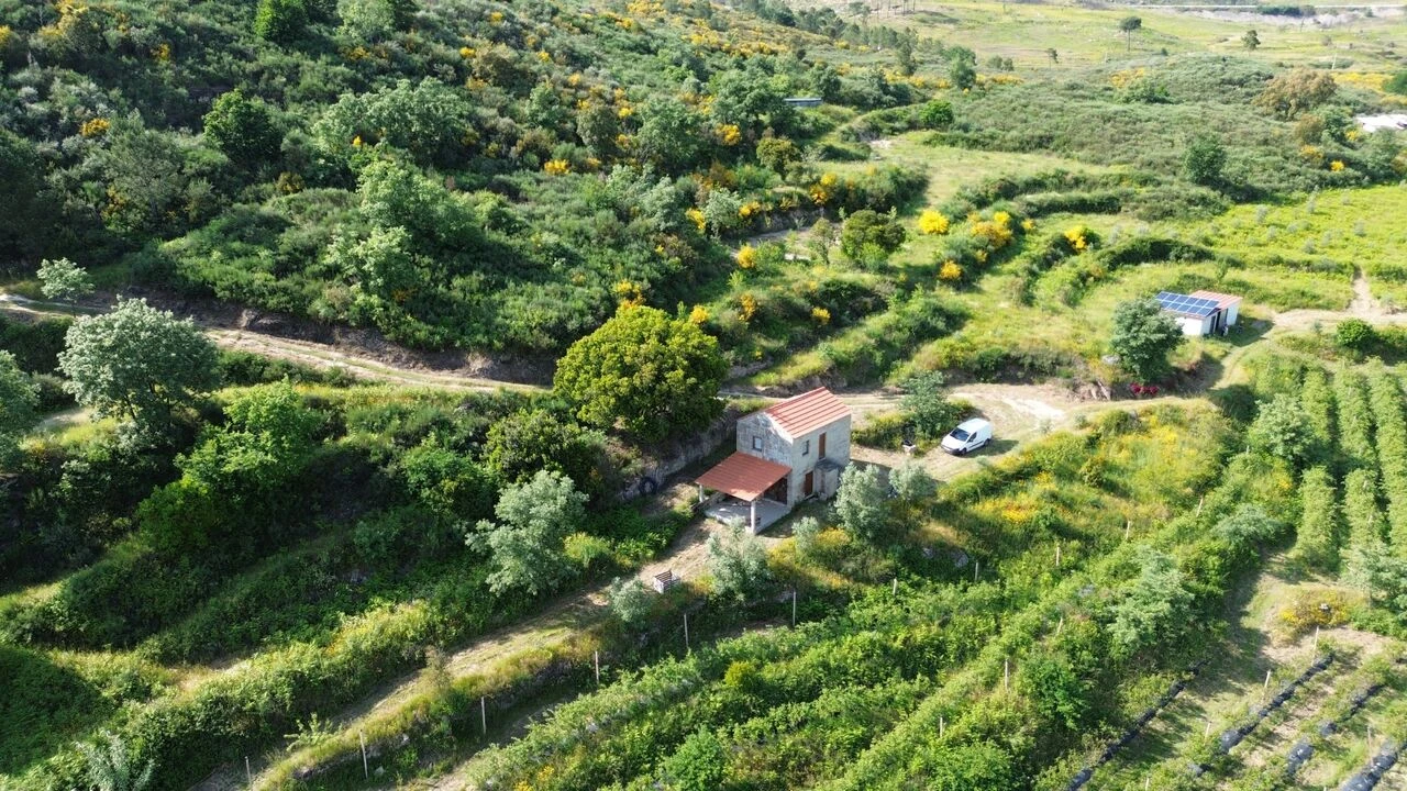 Quinta T1 para Venda em Santiago de Cassurrães e Póvoa de Cervães Foto 18