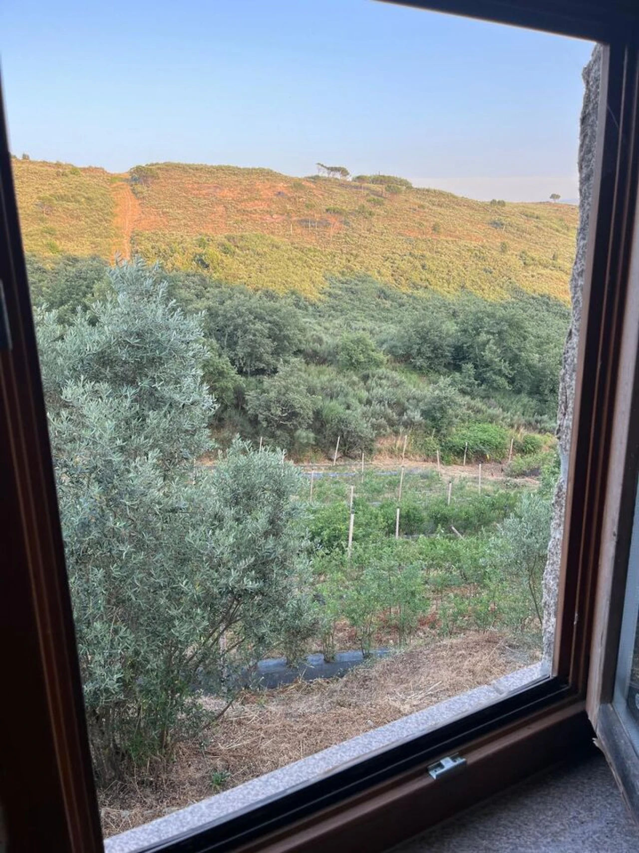 Quinta T1 para Venda em Santiago de Cassurrães e Póvoa de Cervães Foto 28