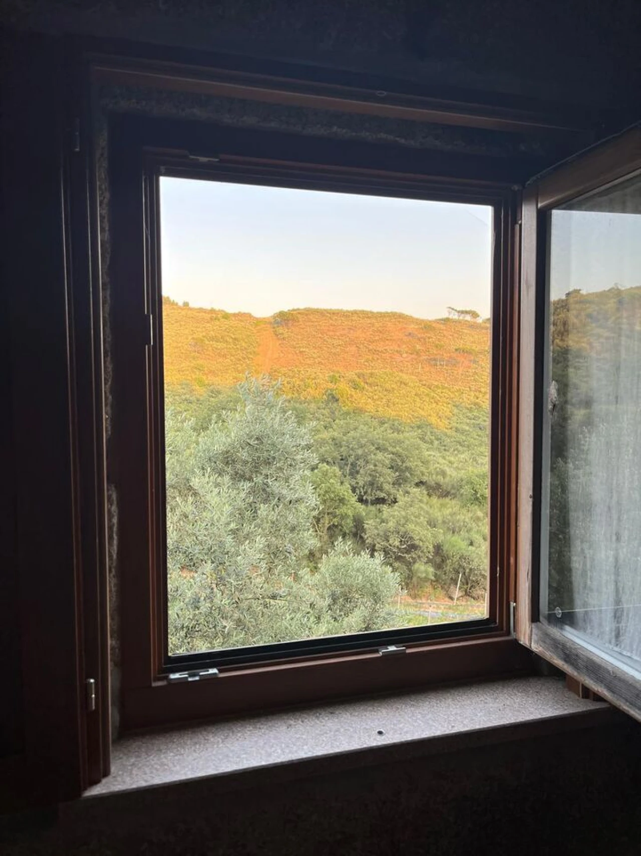 Quinta T1 para Venda em Santiago de Cassurrães e Póvoa de Cervães Foto 43