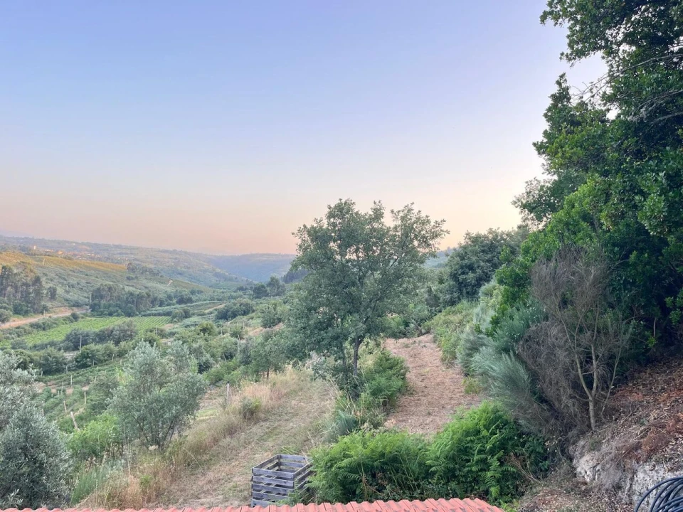Quinta T1 para Venda em Santiago de Cassurrães e Póvoa de Cervães Foto 44