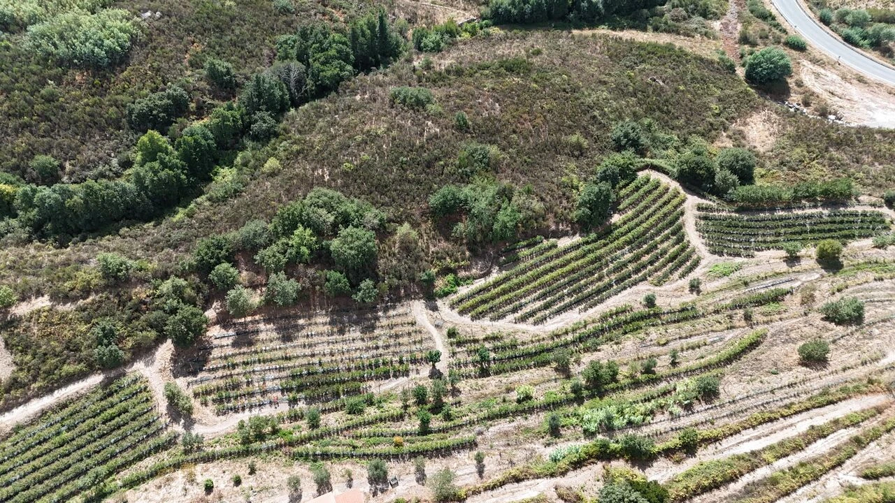 Quinta T1 para Venda em Santiago de Cassurrães e Póvoa de Cervães Foto 51