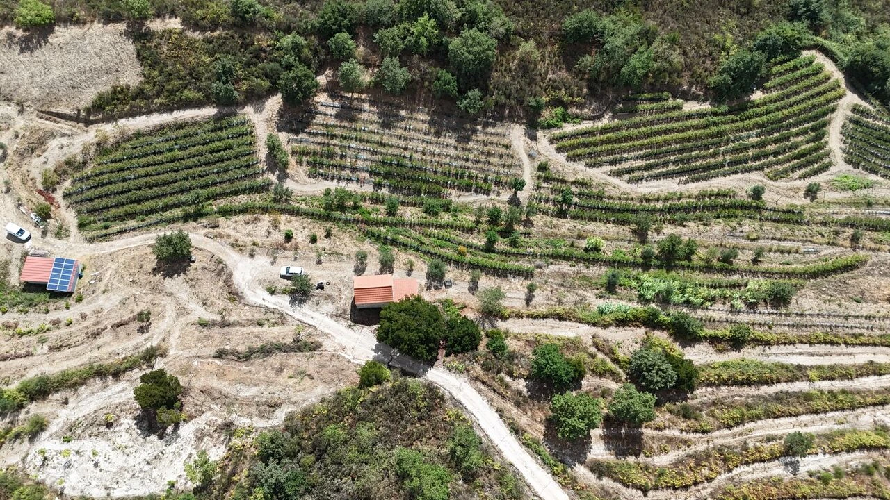 Quinta T1 para Venda em Santiago de Cassurrães e Póvoa de Cervães Foto 53