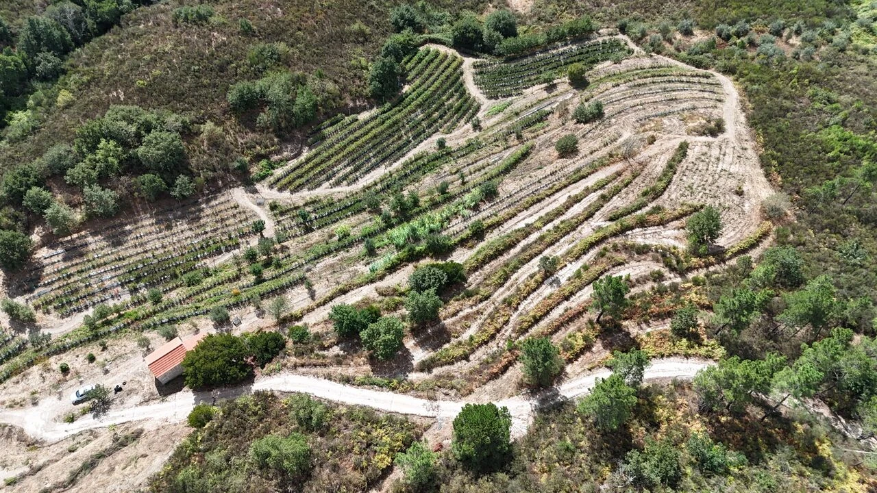 Quinta T1 para Venda em Santiago de Cassurrães e Póvoa de Cervães Foto 54