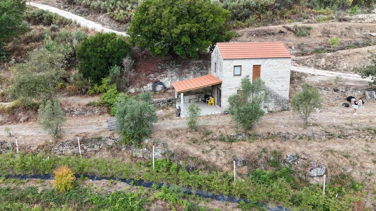 Quinta T1 para Venda em Santiago de Cassurrães e Póvoa de Cervães Foto 58