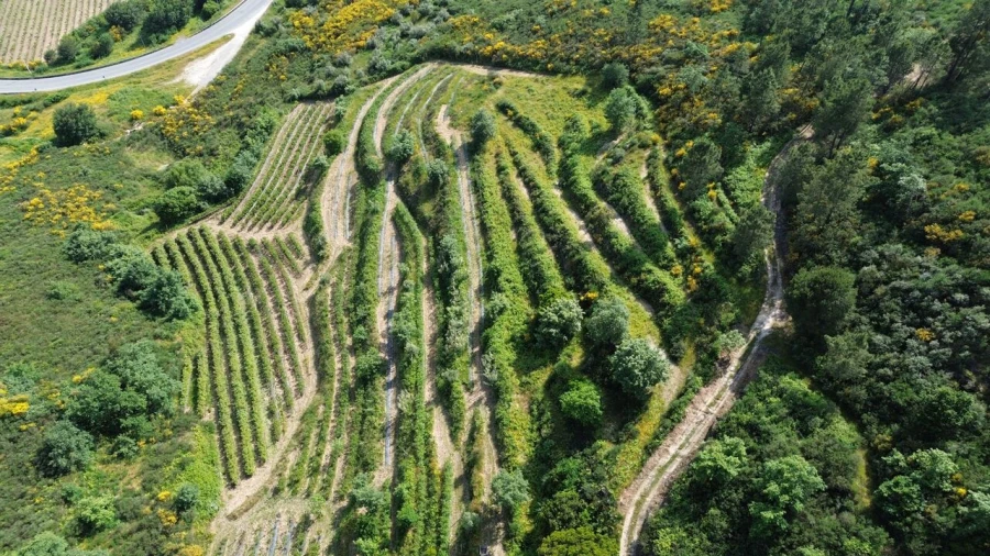 Quinta T1 para Venda em Santiago de Cassurrães e Póvoa de Cervães Foto 2