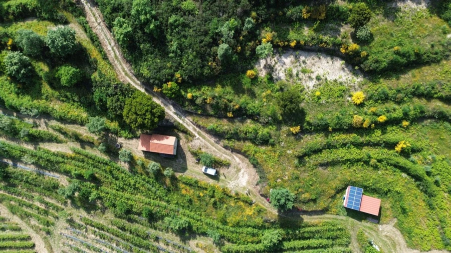 Quinta T1 para Venda em Santiago de Cassurrães e Póvoa de Cervães Foto 5
