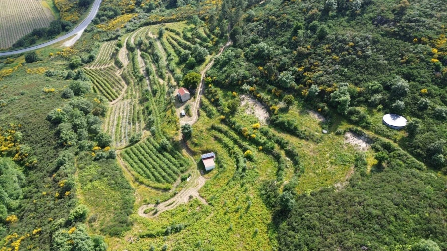 Quinta T1 para Venda em Santiago de Cassurrães e Póvoa de Cervães Foto 11