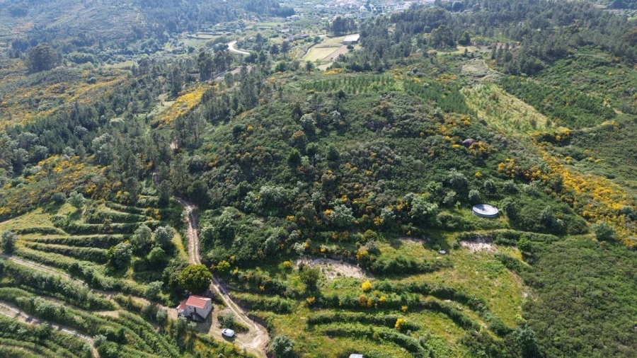 Quinta T1 para Venda em Santiago de Cassurrães e Póvoa de Cervães Foto 17