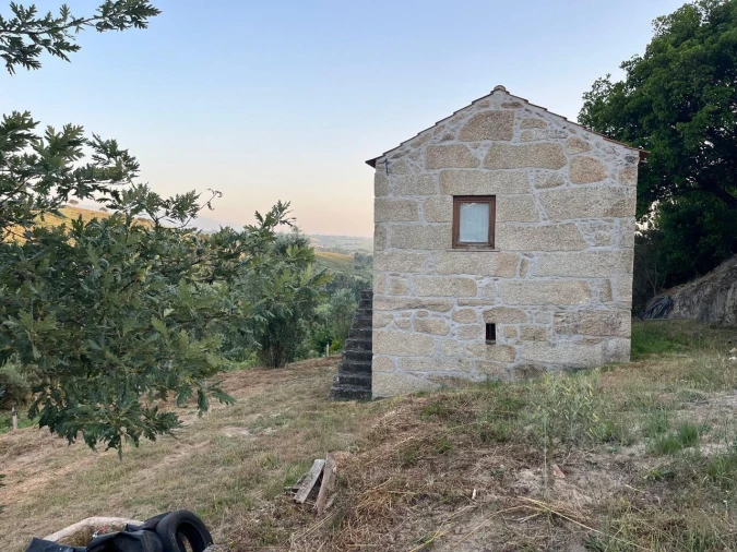Quinta T1 para Venda em Santiago de Cassurrães e Póvoa de Cervães Foto 33