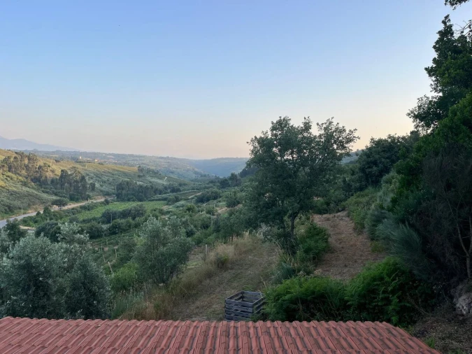 Quinta T1 para Venda em Santiago de Cassurrães e Póvoa de Cervães Foto 35
