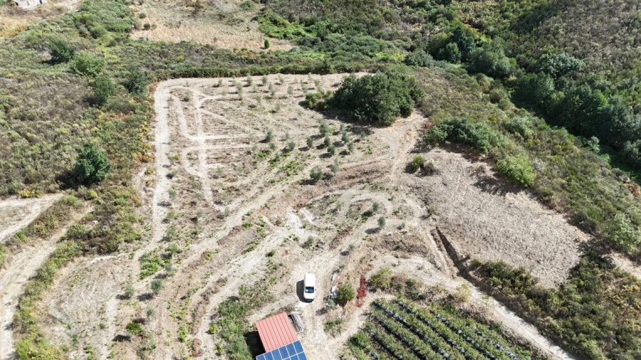 Quinta T1 para Venda em Santiago de Cassurrães e Póvoa de Cervães Foto 46