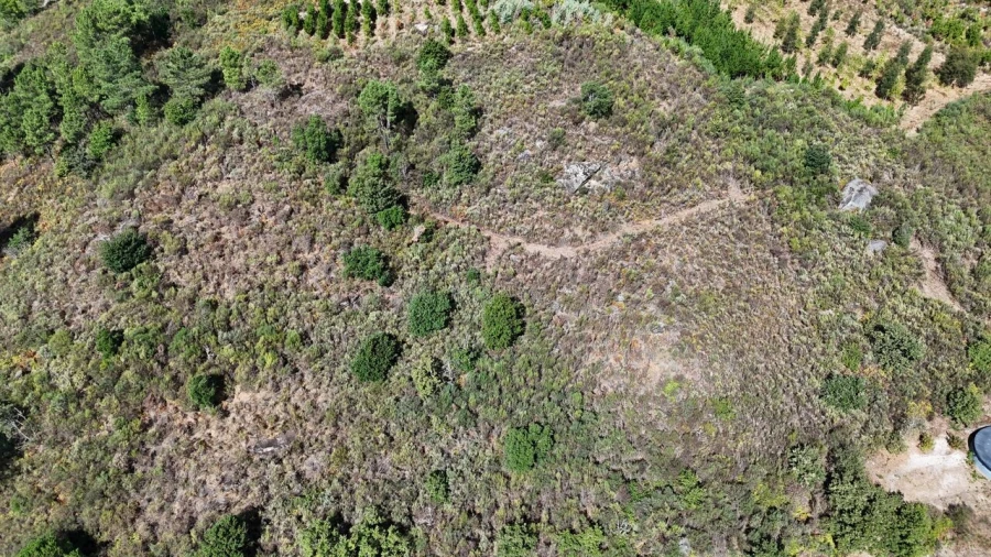 Quinta T1 para Venda em Santiago de Cassurrães e Póvoa de Cervães Foto 50