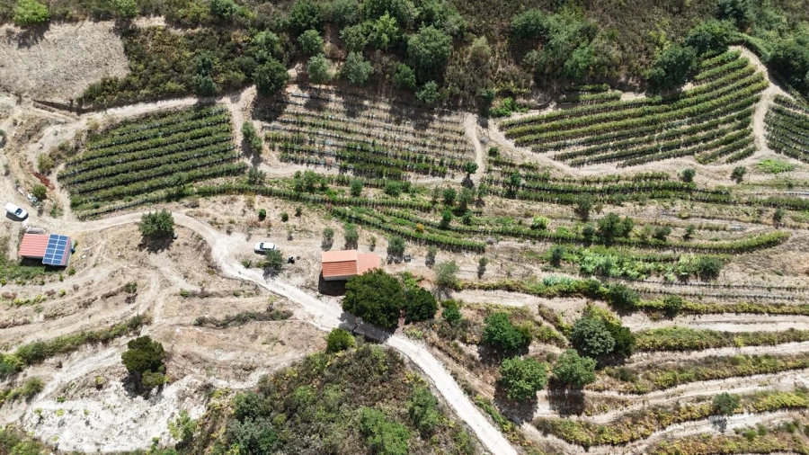 Quinta T1 para Venda em Santiago de Cassurrães e Póvoa de Cervães Foto 53