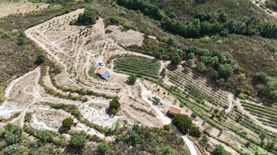 Quinta T1 para Venda em Santiago de Cassurrães e Póvoa de Cervães Foto 55