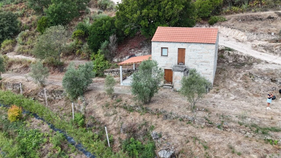 Quinta T1 para Venda em Santiago de Cassurrães e Póvoa de Cervães Foto 57