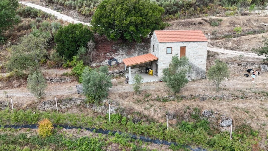 Quinta T1 para Venda em Santiago de Cassurrães e Póvoa de Cervães Foto 58