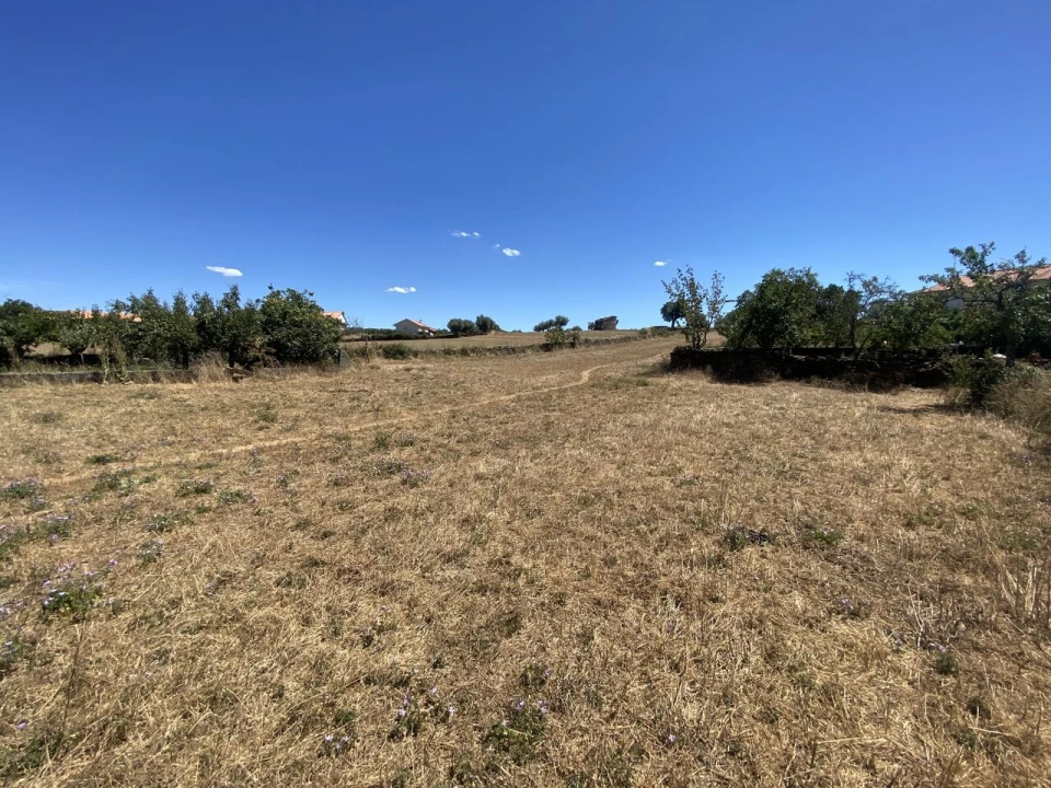 Terreno para Venda em Izeda, Calvelhe e Paradinha Nova Foto 1