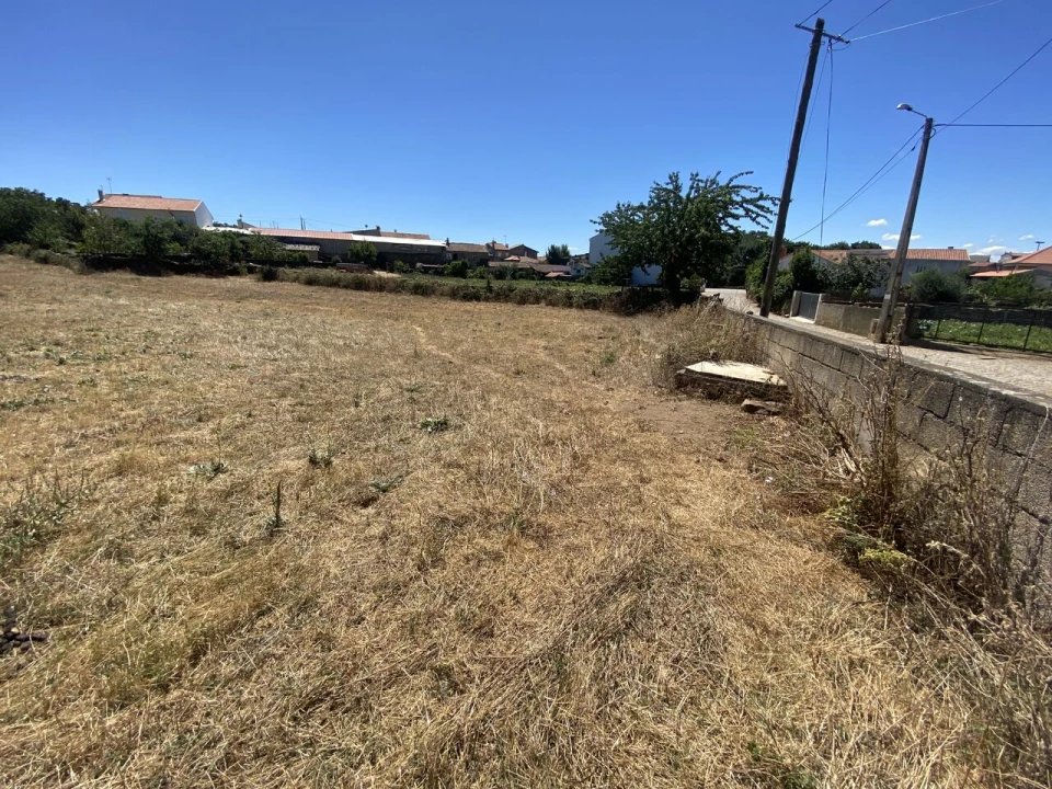 Terreno para Venda em Izeda, Calvelhe e Paradinha Nova Foto 3