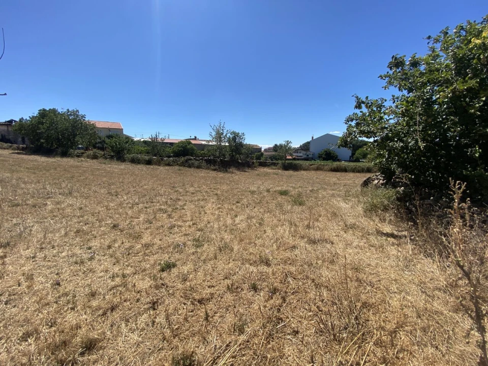 Terreno para Venda em Izeda, Calvelhe e Paradinha Nova Foto 5
