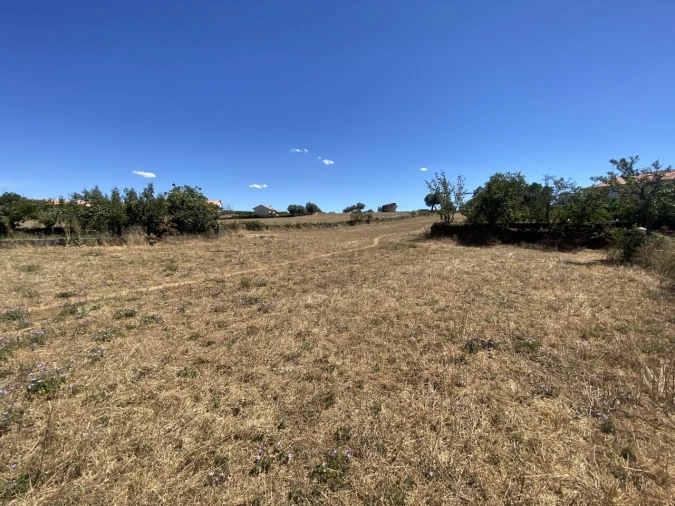 Terreno para Venda em Izeda, Calvelhe e Paradinha Nova Foto 1